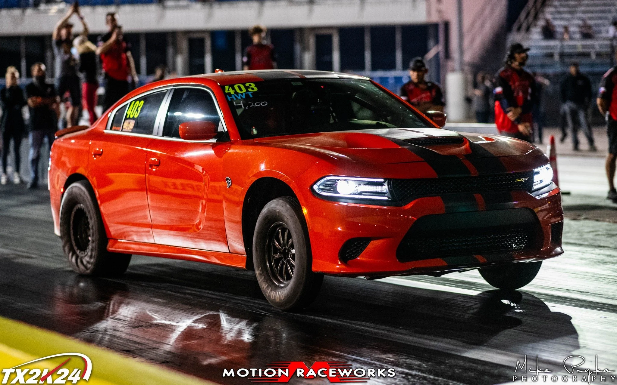 Deadkooks hellcat（デッドクークス ヘルキャット） HELLCAT6'0×20x2 1/2 turquoise | Dead Kooks Shonan